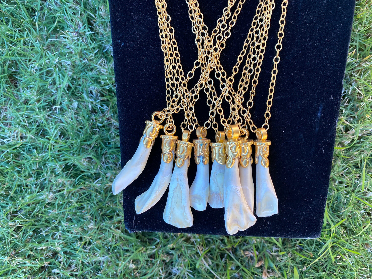 36'' Long Necklace, Buffalo Real Tooth 18K Brushed Gold Overlay Chain Necklace, Elegant Necklace, Bone Pendant Jewelry, Statement Jewelry,