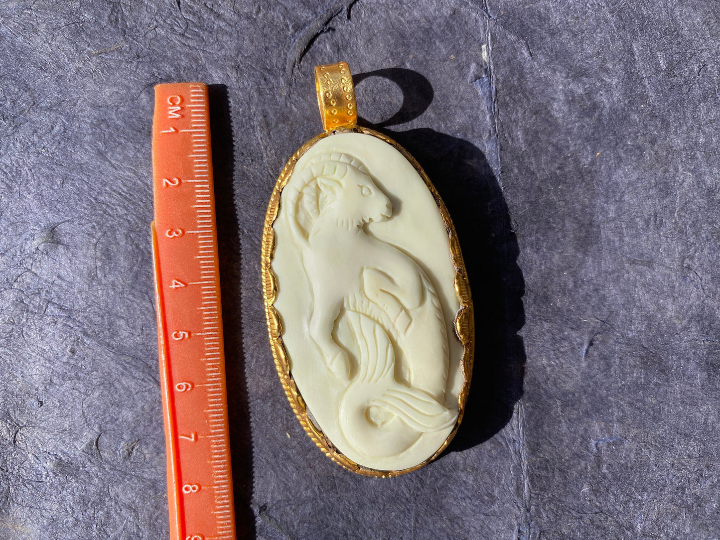 Capricorn Zodiac Sign Bone Pendant, Brushed Gold Overlay, Horoscope Medallion, Unisex Pendant, Astrological Sign, Zodiac Sea Goat Symbol
