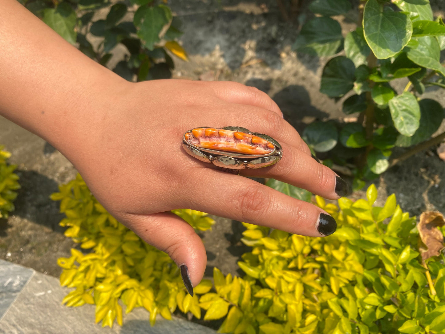 Medium sized handmade spiny oyster ring, made with tibetan silver.