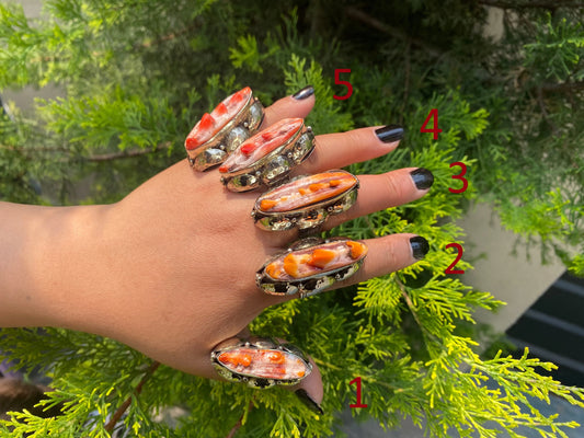 Medium sized Adjustable Spiny Orange Oyster Ring, Unisex Adjustable Tibetan Silver Ring.