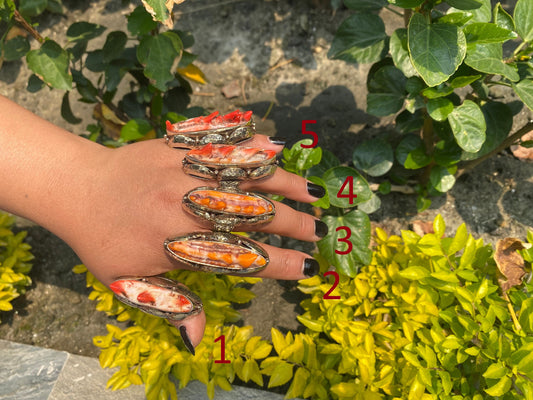 Medium sized handmade spiny oyster ring, made with tibetan silver.