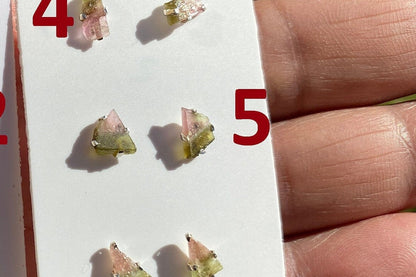 Raw Watermelon Tourmaline Studs Earring, 92.5 Sterling Silver Stud, Rough Gemstone Earring, Raw Tourmaline Prong Stud, Natural Stone Jewelry
